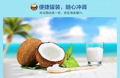 海南特產(chǎn) 南國食品 純椰子粉320g+濃香椰子粉340g早餐速溶椰汁粉